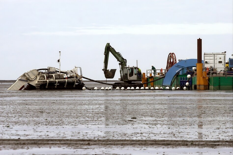 Aktivistin über Zustand des Wattenmeers: „Die Nordsee wird zunehmend industrialisiert“