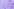 Pipetten, die violette Flüssigkeit aus einer Petrischale entnehmen