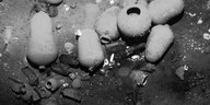 Unterwasseraufnahme von Fundstücken aus dem Wrack