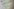 Blick ins Internet mit dem Text „Diese Website ist nicht erreichbar“