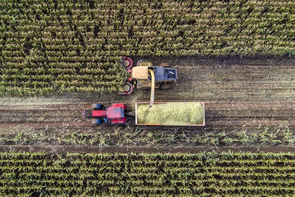 Warnung von Umweltschützern: Neue Gentechnik, mehr Patente auf konventionelle Pflanzen