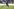 Zweikampf zwischen einem peruanischen und einem haitianischen Spieler, bei dem der Peruaner am Trikot seines Gegenspielers zieht