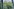 Der Blick ins Grüne aus einem Fenster der taz