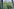 Der Blick ins Grüne aus einem Fenster der taz