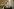 Portrait der Norwegischen Kronprinzessin Mette-Marit
