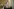 Portrait der Norwegischen Kronprinzessin Mette-Marit