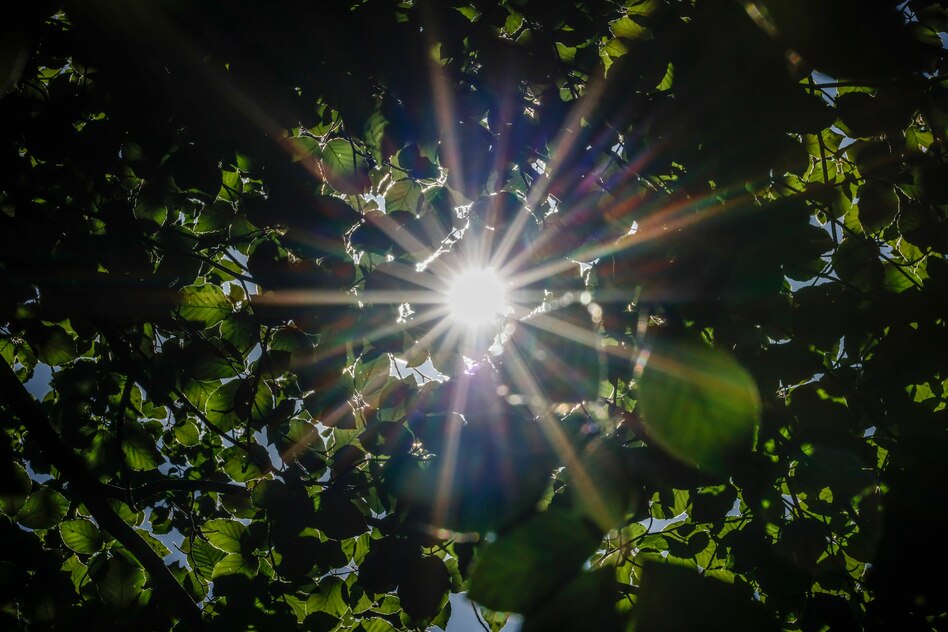 Hitze-Alarm in Deutschland: 38 Grad