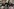 Drei Teenager mit blondierten Haaren