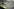 Polizistin mit Radarmessgerät auf Straße