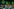 Menschen applaudieren in einem Saal, im Hintergrund grüne Sonnenblumen an der Wand und eine Tür