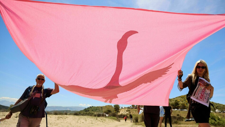 Bauvorhaben von Ivanka Trump: Albanien sieht rosa