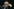 Porträt von Alan Greenspan mit großer Brille und den Kopf in die Hände gestützt