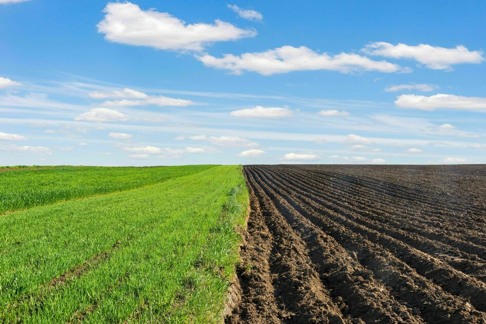 Die Wahrheit: Am Land