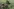 Ukrainische Soldaten auf einer Wiese, einer schaut durch ein Fernglas, der andere schaut auf ein Tablett, das aufr einer Folie liegt, vor ihnen ein montiertes Gewehr auf einem fahrbaren Untersatz