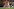 Spieler im niederländischen und Spieler im marokkanischen Trikot unterhalten sich freundschaftlich auf dem Spielfeld