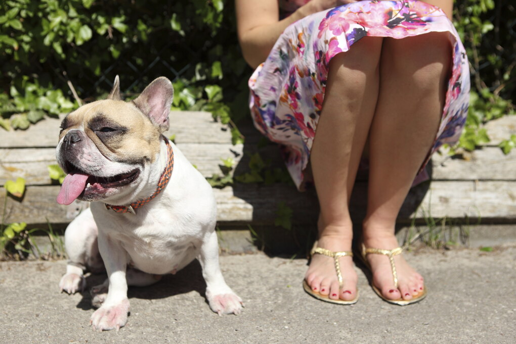 Frauchen mit französicher Bulldogge