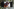 Bildcollage mit Screenshot eines Insta-Reels, auf dem ein Hund mit fragendem Blick abgebildet ist.