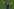 Mbappe breitet die Arme aus