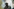 Swamp Dogg reminisziert unter Palmen