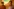 Zwei Männer mit Sonnenbrillen in gelbem Licht.