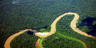 Fluss mäandert durch den Yasuní-Nationalpark