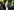 Didier Deschamps winkt ins Publikum