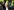 Didier Deschamps winkt ins Publikum