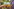 Zwei bunte Getränke in Plastikbechern, die gerade von Menschen gehalten werden