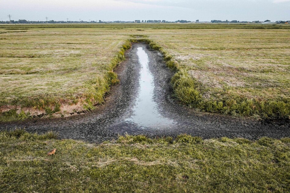 Folgen der Klimakrise: Niederlande ringen ums Wasser