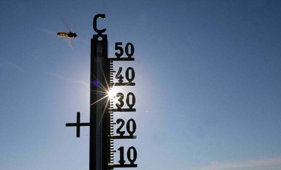 Umfrage zu Rekordtemperaturen: Ein Viertel der Menschen will nicht erkennen, dass Hitze und Klimawandel zusammenhängen