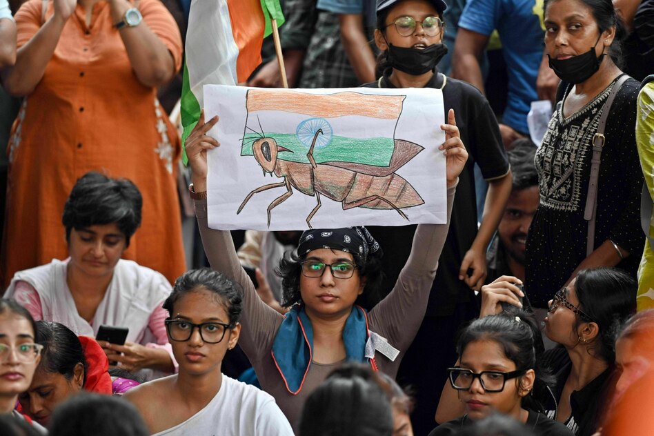Kakerlaken-Bewegung in Indien: Gegen die Arroganz der Macht