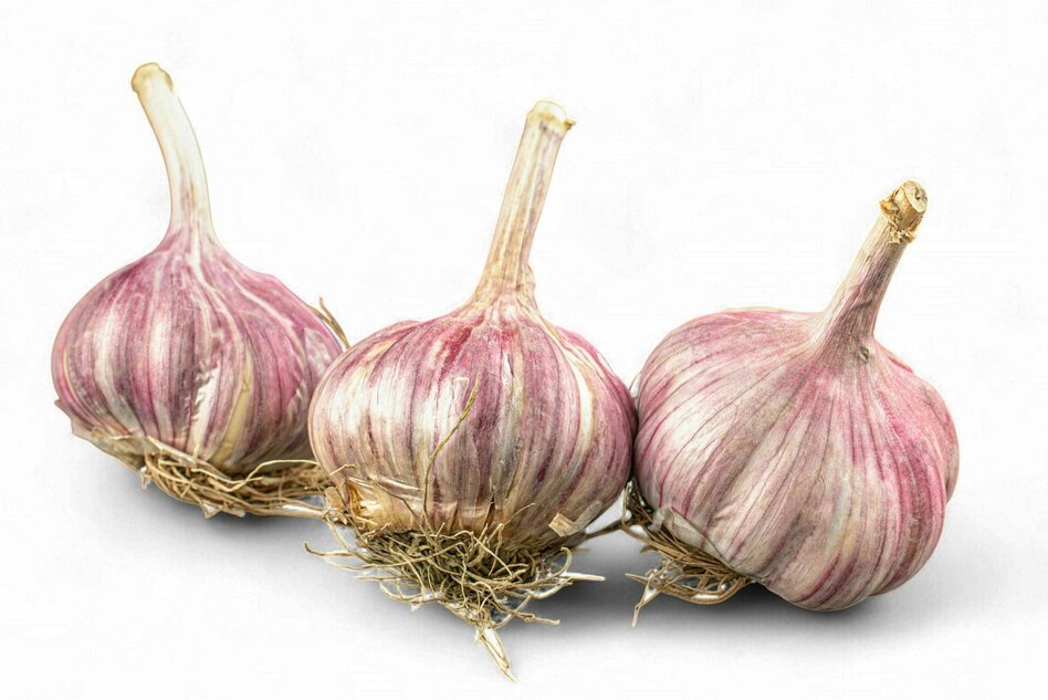 Knoblauch in der Küche: Ein Leben ohne Knolle ist möglich, aber sinnlos