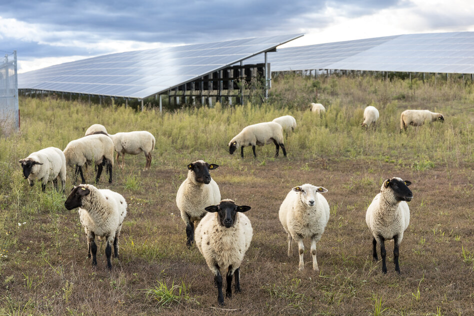 Klimakommunikation: Reframing allein löst nicht die Klimakrise