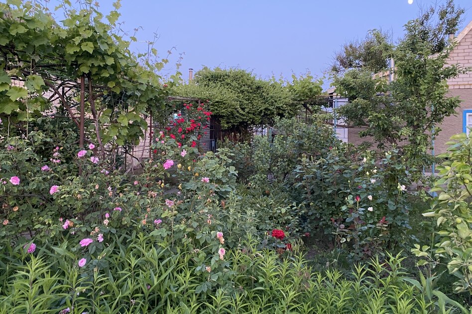 Sommerhitze in der Ukraine: Die Sonne zähmen, das Leben anpassen