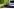 Flatterband und Polizeiautos im Berliner Tiergarten