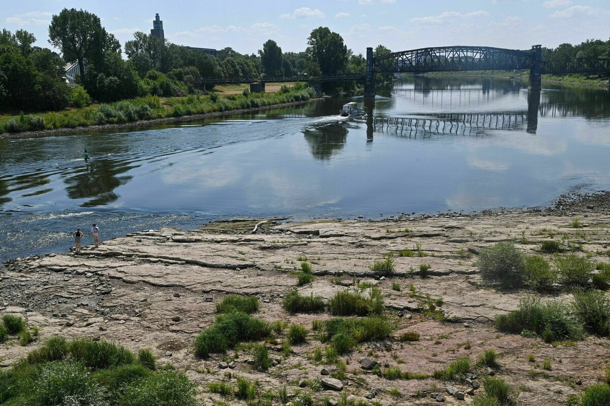 Experte über Klima und Niedrigwasser: „Die Elbe als Bundeswasserstraße – diese Zeiten sind vorbei“