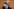 Thorsten Frei und Friedrich Merz