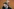 Thorsten Frei und Friedrich Merz
