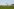 Ein Flugzeug sprüht Pestizide über einem Feld