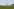 Ein Flugzeug sprüht Pestizide über einem Feld