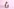 Eine Katze vor rosa Hintergrund