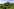 Wald