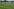Bayer-Profis auf altem Trainingsgelände.