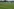 Bayer-Profis auf altem Trainingsgelände.