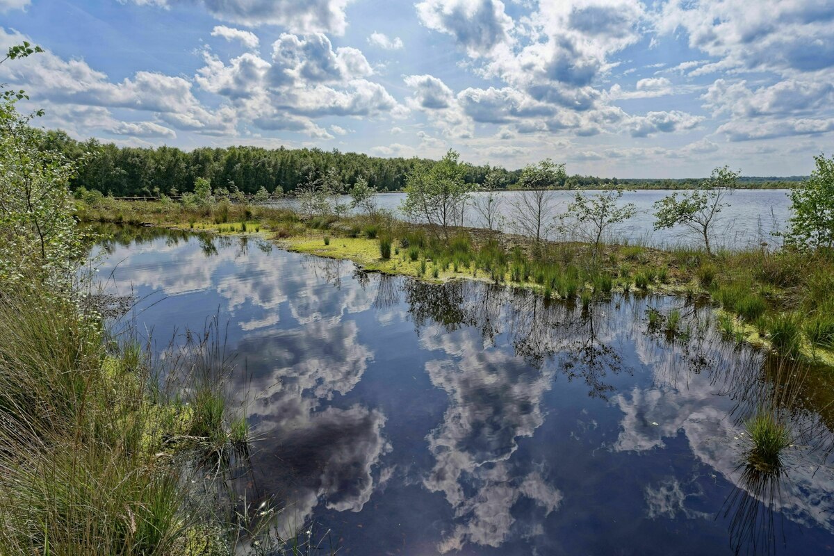 Nabu chief on climate protection with peatlands: 