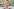 Ein Mann schaut freundlich in die Kamera