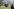 Pferde laufen über einen Fußballplatz, dahinter Ränge mit Menschen
