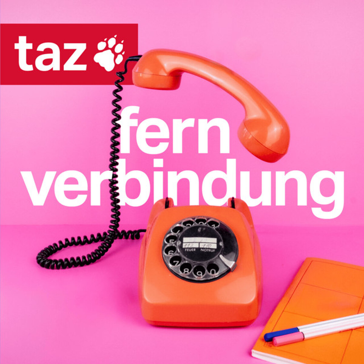 Referendum in Island: Wirklich nur Fisch? Wieso Island nicht in die EU will