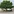 Bänke stehen um einen Baum