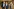 Sebastian Koch (Mitte) posiert bei einem Bürgerforum in Sachsen-Anhalt mit Ulrich Siegmund (links) und Martin Reichardt (rechts) - im Hintergrund winken begeisterte AfD-Anhänger